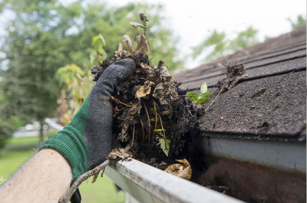 Gutter_Cleaning